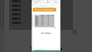 Celebrity Excel Outside Borders | Technical Ustad Wealth