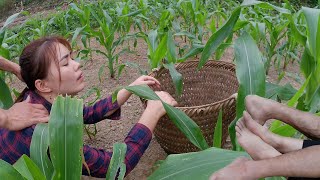 A girl taking care of a corn garden meets a kind guy who helps her
