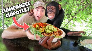 I Bought A Chipotle Bowl For My Chimpanzee ! What Happens ?!