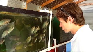 Paul Gets A Quick Tour | The Aquaponics God Ep.37