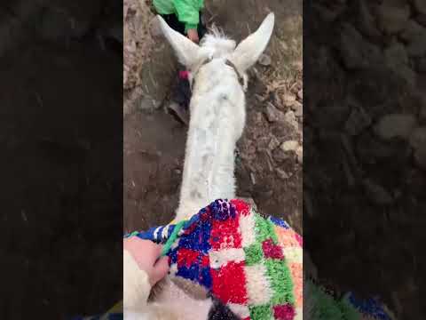 لقطات في أوكيمدن مراكش 