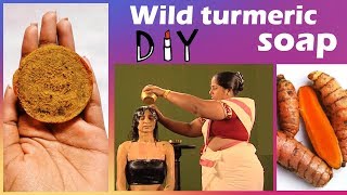 Kasturi Manjal ( Wild Turmeric ) Soap making at home | Ayurvedic recipe