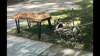 Live Edge Bench