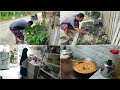 RUBAH KEBUN SAYUR JADI TAMAN MINI || PERDANA MASAK GULAI IKAN ****** RESEP DARI TETANGGA