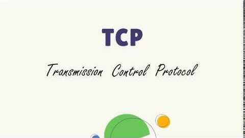 Apa itu TCP UDP dan URL