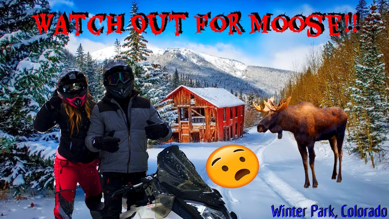 Couple's Colorado Trip | Snowmobiling | During Covid-19