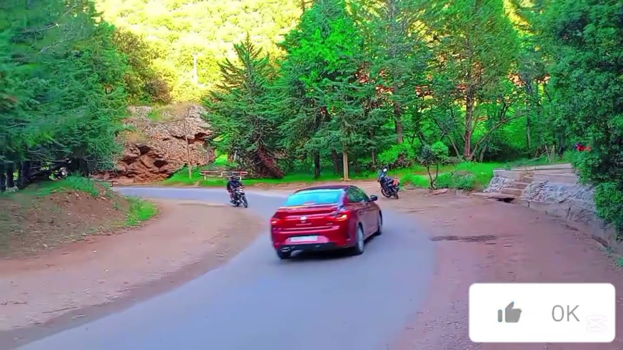 فيديو يظهر جمال الطبيعة من جبال لاطلس المتوسط مدين عين اللوح🌳