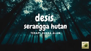 TERAPI SUARA ALAM DAN DESIS SERANGGA HUTAN YANG MERELAKSASI PIKIRAN
