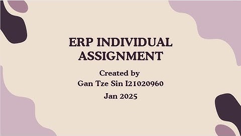 ERP Individual Assignment