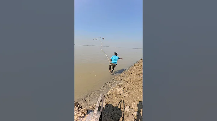 Boy throws shark bait into river to catch sharks  #fishinglife  #bait