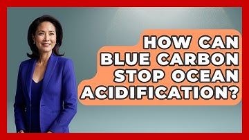 How Can Blue Carbon Stop Ocean Acidification? - Explaining Ecology