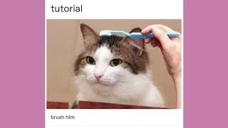 The Shreeax Trinity | Late Night Tumblr Posts