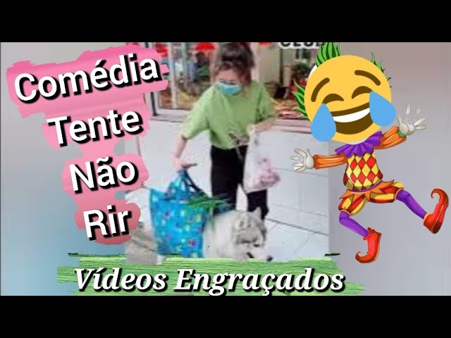 520 videos memematicos em 2023  videos engraçados para rir, memes  engraçados, engraçado