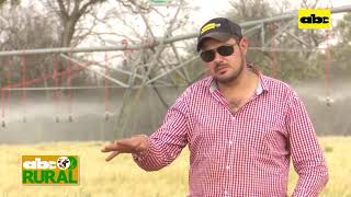 ABC Rural: Wheat in Chaco, irrigation, soil and rainfall