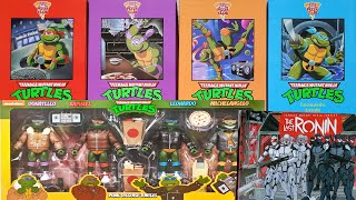 What Is In The Package? | TMNT Figures