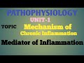 Pathophysiology unit-1 # Mechanism of chronic Inflammation # Mediator of Inflammation # 