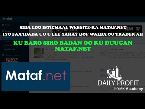 Daily Profit Forex Academy- Siraha ku duugan Mataf.net iyo sida loo isticmalo -By: Eng Liban Nor