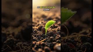 Receba a Unção de Multiplicação | Oração da Manhã