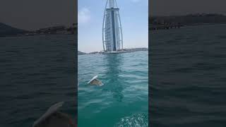 500 dirham find and near in Burj al arab gudlock EID Mubarak🫶 500 dirham find and near in Burj al arab gudlock EID Mubarak🫶