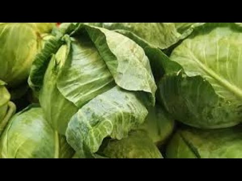 7 health benefits of cabbage that are rarely known, don&rsquo;t be sorry