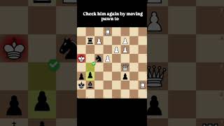 Chess Puzzle with Solution- Day70| Chess Content #chess#chessgame#viralshort#chesstactics#checkmate