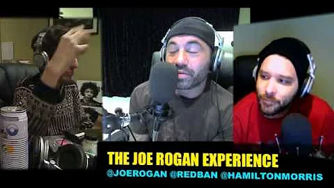 Joe Rogan Experience #177 - Hamilton Morris