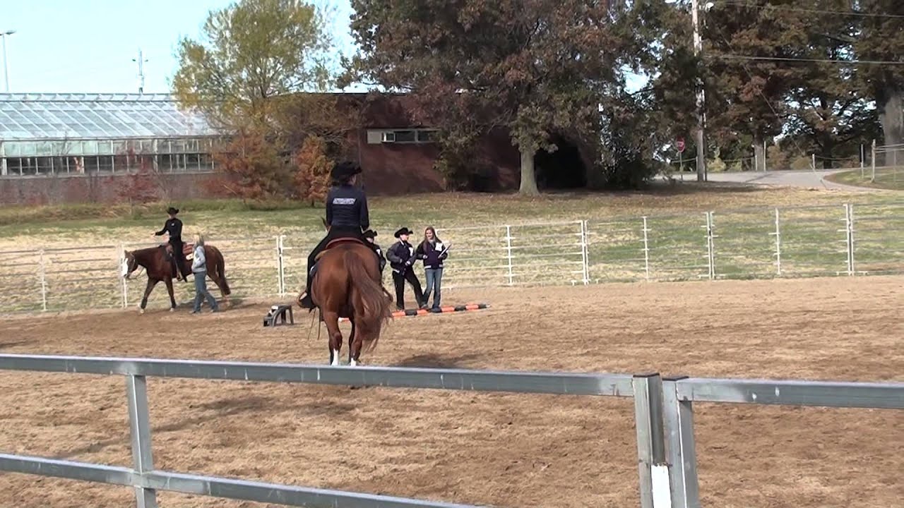 Equestrian, UTM vs. Kansas State, November, 2013 YouTube
