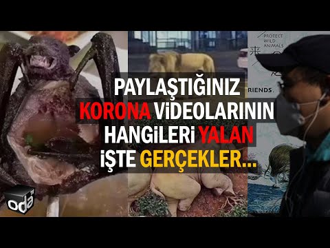 Paylaştığınız korona videolarının hangileri yalan… İşte gerçekler