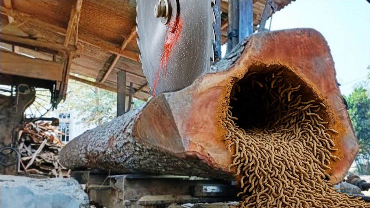 It's almost impossible for my steel saw to break through wood this hard