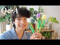 Qa personal chat  how i met my bf life goals plants while building lego flowers