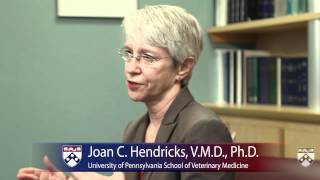 Penn Vet and Research - University of Pennsylvania School of Veterinary Medicine
