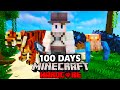 I survived 100 days on a deserted island in minecraft hardcore