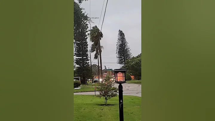 Hurricane funnies during Ian #hurricane #sarasota ...