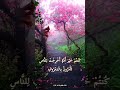 كنتم خير أمة اخرجت للناس