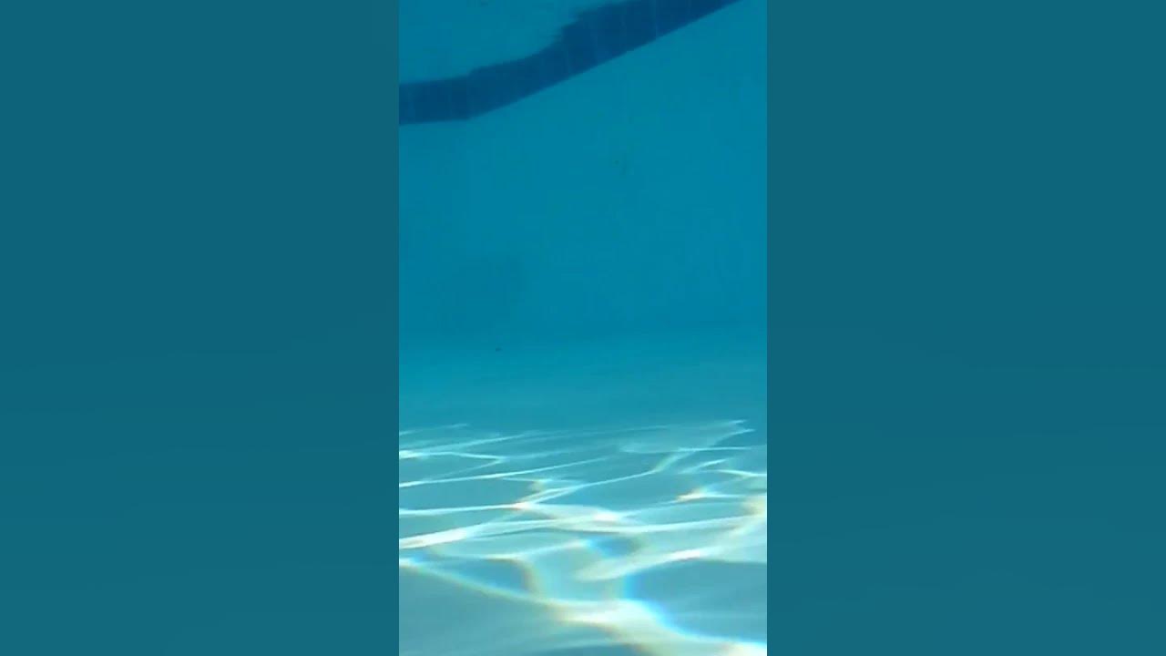 A Normal Underwater Vlog Turns Into A Strange Bug (centipede In Water ...