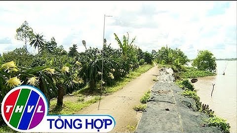 THVL | Bảo vệ vườn cây ăn trái mùa mưa lũ