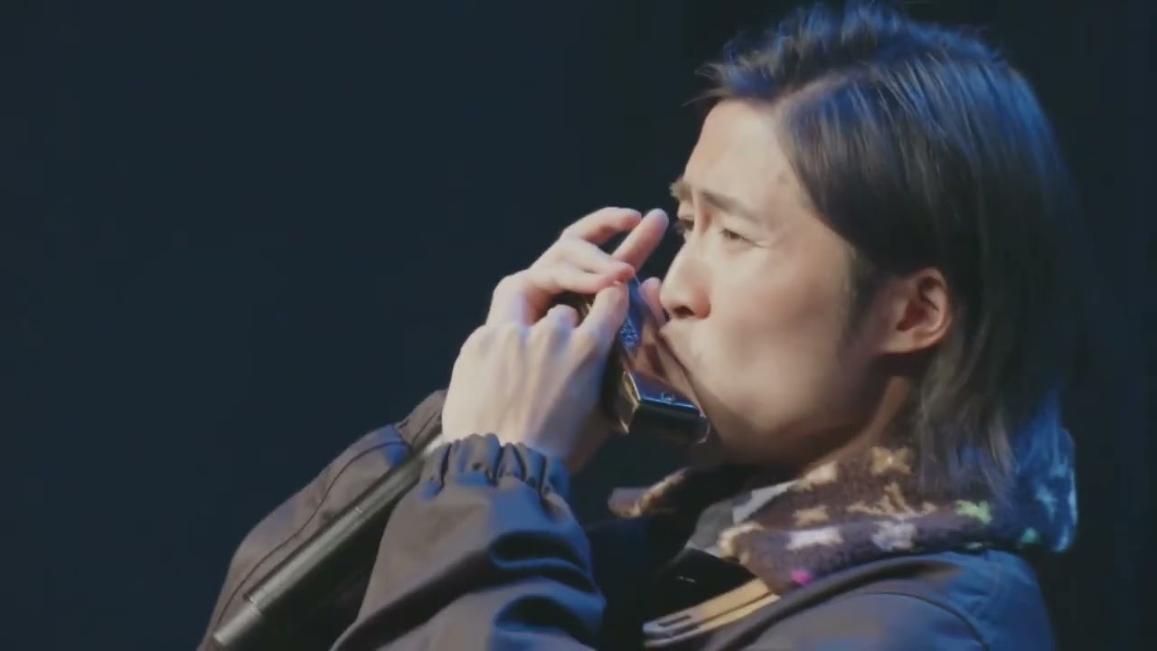 Georgia On My Mind - Harmonica Festival