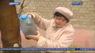 Смерть младенца Мать – наркоманка оставила умирать младенца на балконе Новости сегодня Смерть младенца Мать – наркоманка оставила умирать младенца на балконе Новости сегодня