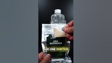 Thumbnail of Easy DIY CO2 Starter Kit - Dennerle Plants Shorts
