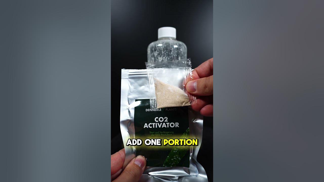 Easy DIY CO2 Starter Kit - Dennerle Plants Shorts