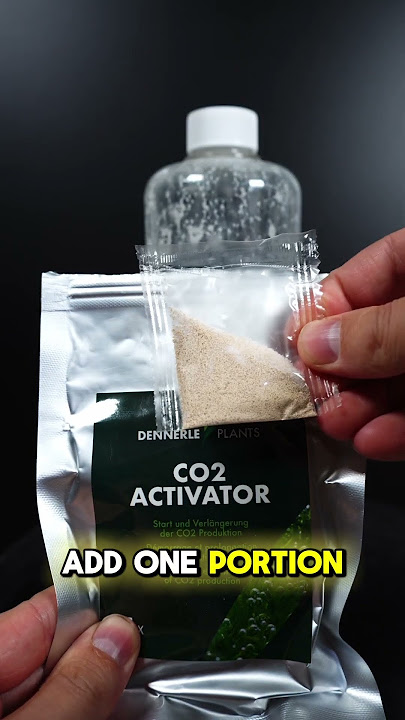 Easy DIY CO2 Starter Kit - Dennerle Plants Shorts