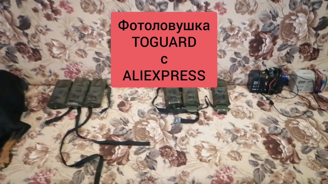 Фотоловушка с AliExpress TOGUARD  HC 700 A Hunting Trail Camera  Model: HC-700A Фотоловушка Сунтек