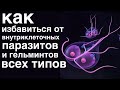 Паразиты и гельминты. Избавляемся упражнением!