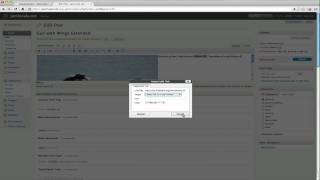 Insert Link in Wordpress Post