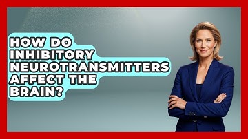 How Do Inhibitory Neurotransmitters Affect The Brain? - Neurotech Insight Pro