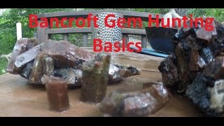 Bancroft Gem Collecting Basics