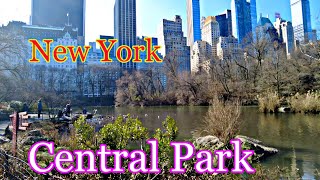 Central Park Walk - NEW YORK CITY - America 🇺🇸 - 4K 60fps HDR Walking