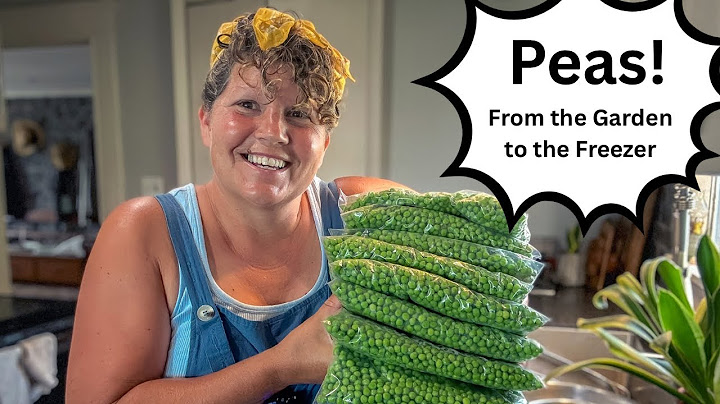 The Best Way to Preserve Peas! Garden to Freezer