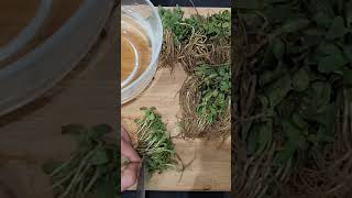 How To Dry Fenugreek leaves|Kasuri Methi|Easy Recipes|Cooking Sentiment.