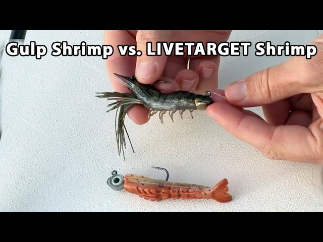 Gulp Shrimp vs. LIVETARGET Fleeing Shrimp (Does Scent Or Sight Matter  More?) 